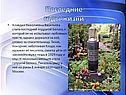 Андрей Белый