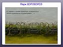 Дурнолесье