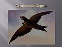 Стрижонок Скрип
