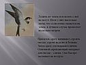 Ходить по земле и взлетать с неё не могут