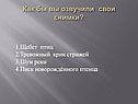 Как бы вы озвучили свои снимки