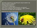 Прочитайте выразительно слова-обещания
