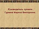 Руководитель проекта Гуркина Марина Викторовна
