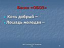 Лошадь молодая