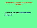 Толпа зевак ходила
