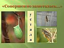 Совершенно замоталась