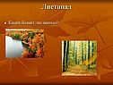 Листопад