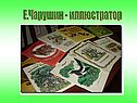 Иллюстратор