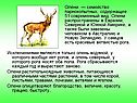 Олени