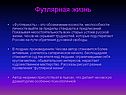 Футлярная жизнь