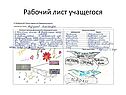 Рабочий лист учащегося