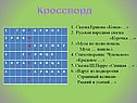 Кроссворд