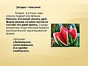 Загадки – описания