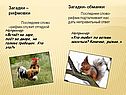 Загадки- обманки