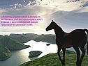 «Я теперь скупее стал в желаньях, Жизнь моя, иль ты приснилась мне