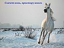 Скачет конь, простору много