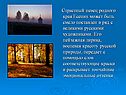 Страстный певец родного края Есенин может быть смело поставлен в ряд с