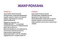 Жанр романа