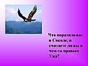 Что поразило вас в Соколе, и считаете ли вы в чем-то правым Ужа