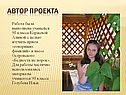 Автор проекта