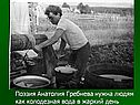 Поэзия Анатолия Гребнева нужна людям как колодезная вода в жаркий день