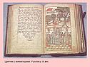 Цветник с миниатюрами