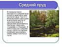 Средний пруд