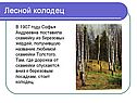 Лесной колодец