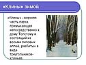 «Клины» зимой