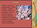 Сакура