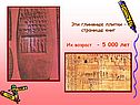 Их возраст - 5 000 лет