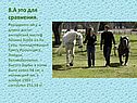 8.А это для сравнения