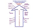 Конспекты по литературе