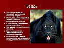 Что-то присущее не человеку, а огромному сильному зверю