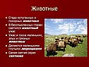 Животные