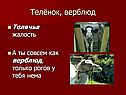 Телёнок, верблюд