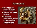 Насекомые