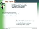 Кто какой