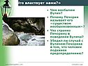 Чем необычен Вулич