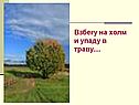Взбегу на холм и упаду в траву