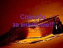 Лирика природы Тютчева