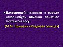 Палестинкой называют в народе какое-нибудь отменно приятное местечко