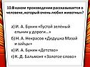 Густой зелёный ельник