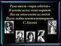 Пара лебедей