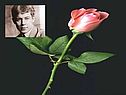 Любовная лирика Есенина