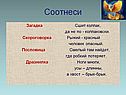 Соотнеси