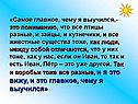 Птицы разные