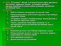 Отличительные черты