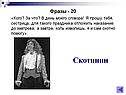 Скотинин