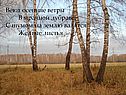 Осенние ветры